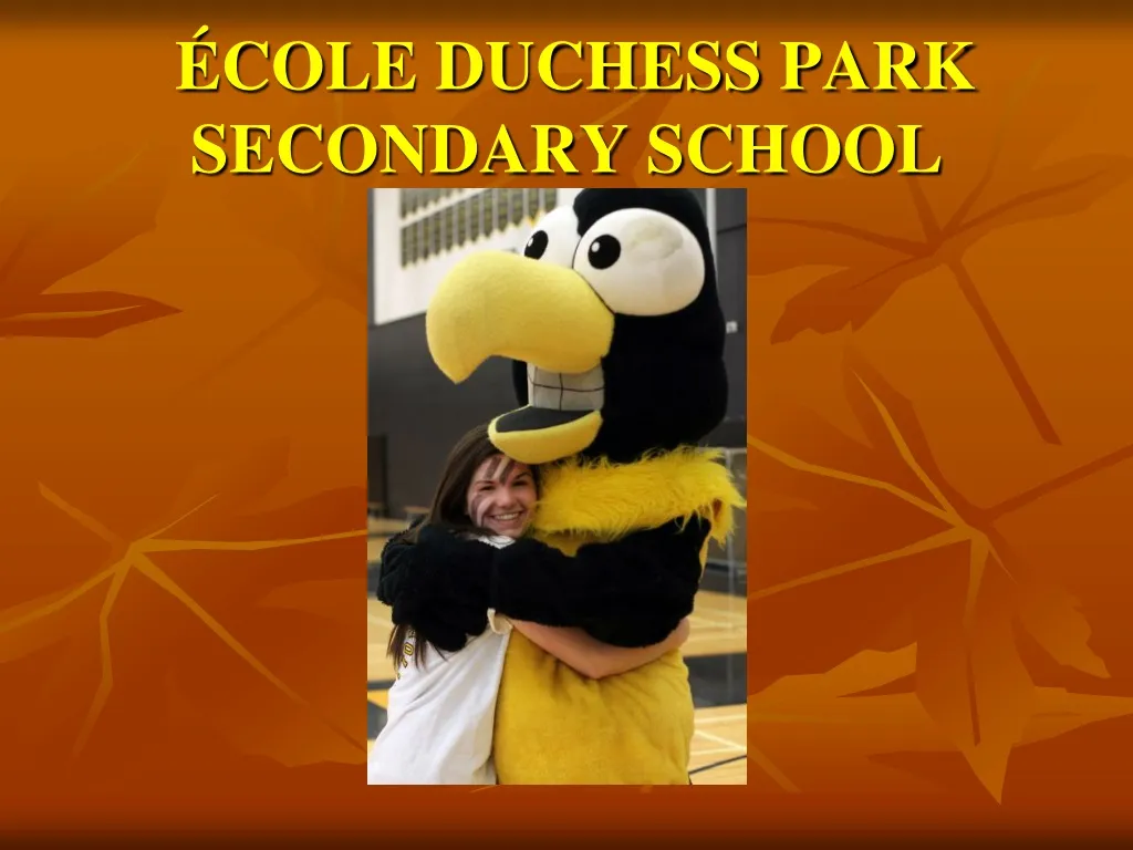 cole duchess park secondary school