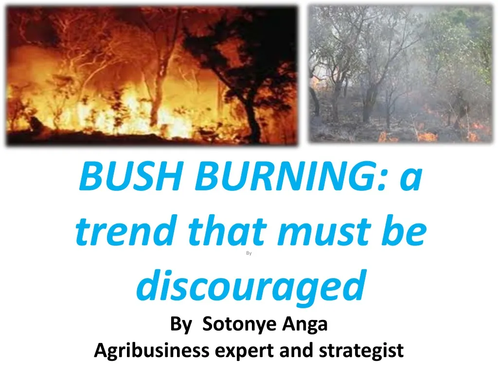 bush burning a trend that must be discouraged