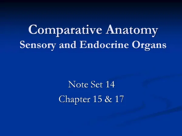 Comparative Anatomy Sensory and Endocrine Organs