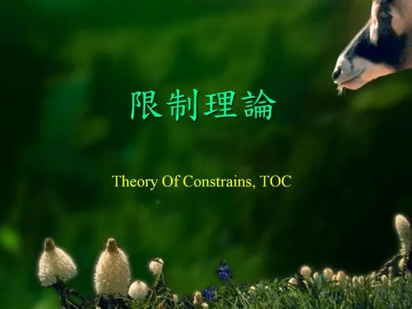 Theory Of Constrains, TOC