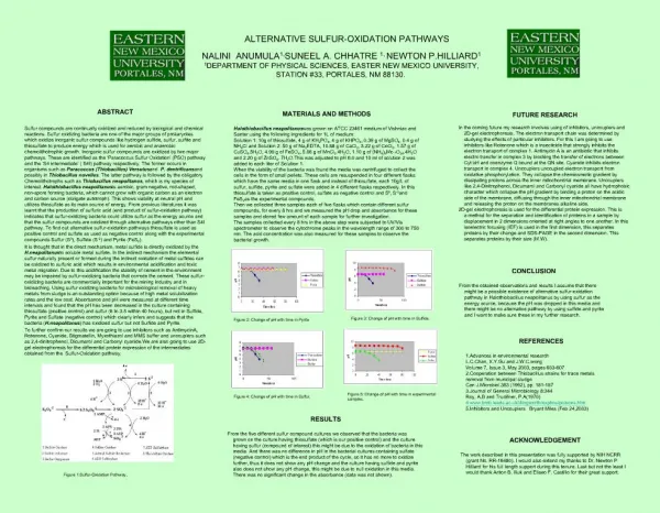 ALTERNATIVE SULFUR-OXIDATION PATHWAYS NALINI ANUMULA1, SUNEEL A. CHHATRE1, NEWTON P.HILLIARD1 1DEPARTMENT OF PHYSICAL