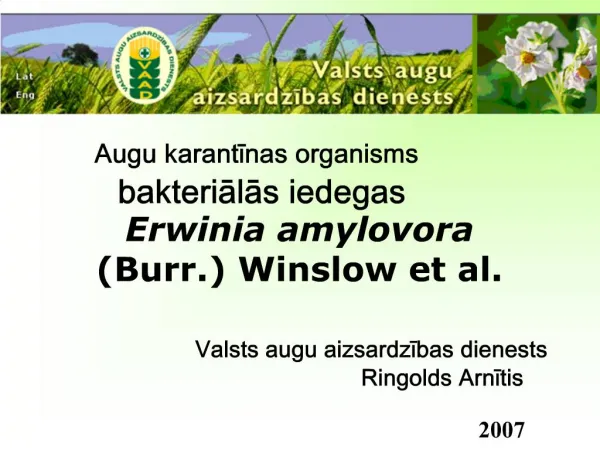 Augu karantinas organisms bakterialas iedegas Erwinia amylovora Burr. Winslow et al.