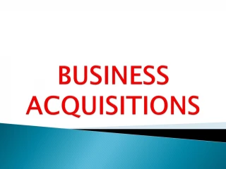 BUSINESS ACQUISITIONS