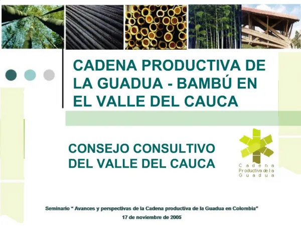 CADENA PRODUCTIVA DE LA GUADUA - BAMB EN EL VALLE DEL CAUCA