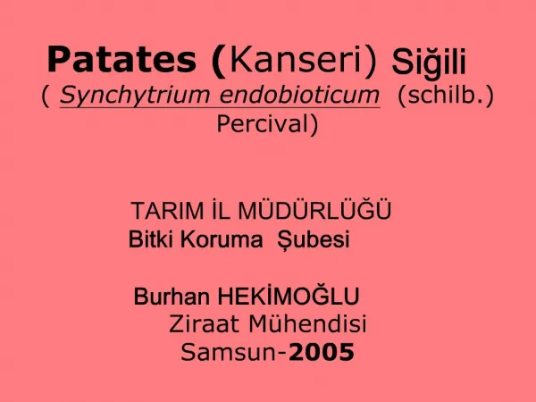 Patates Kanseri Sigili Synchytrium endobioticum schilb. Percival TARIM IL M D RL G Bitki Koruma Subesi Burhan HEK