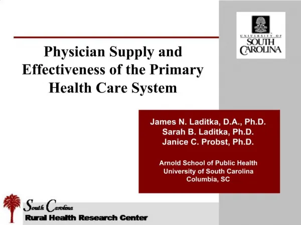 Physician Supply and Effectiveness of the Primary Health Care System