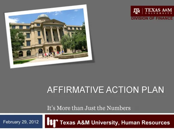 Affirmative action Plan It s More than Just the Numbers