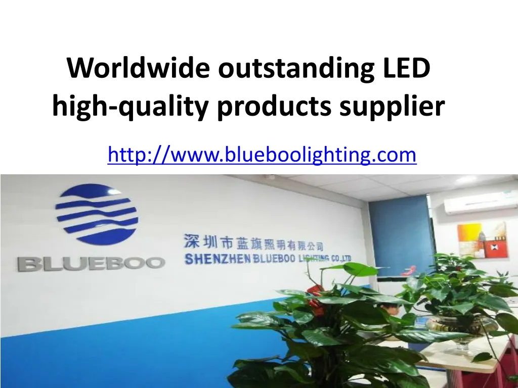 worldwide outstanding led high quality products supplier