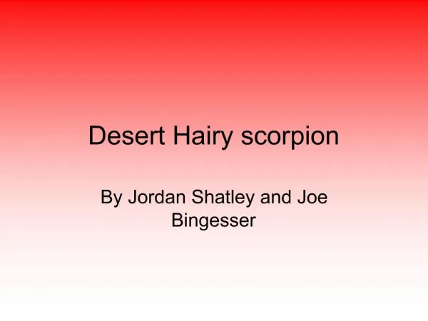 Desert Hairy scorpion