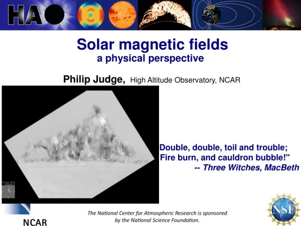 Solar magnetic fields a physical perspective