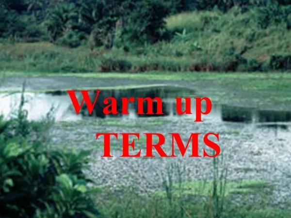 Warm up TERMS