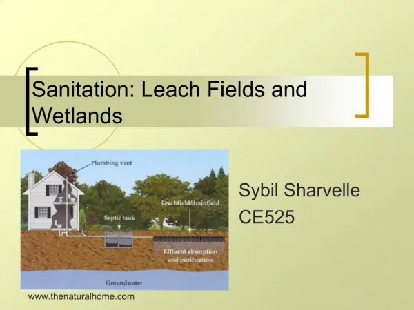 Sanitation: Leach Fields and Wetlands