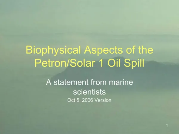 Biophysical Aspects of the Petron