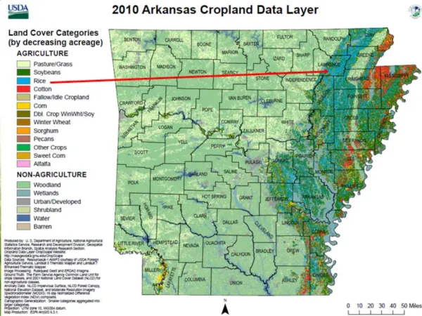 Arkansas Rice Situation and Outlook Presented at 2011 USA National Rice Outlook Conference Austin, Texas December 7-9