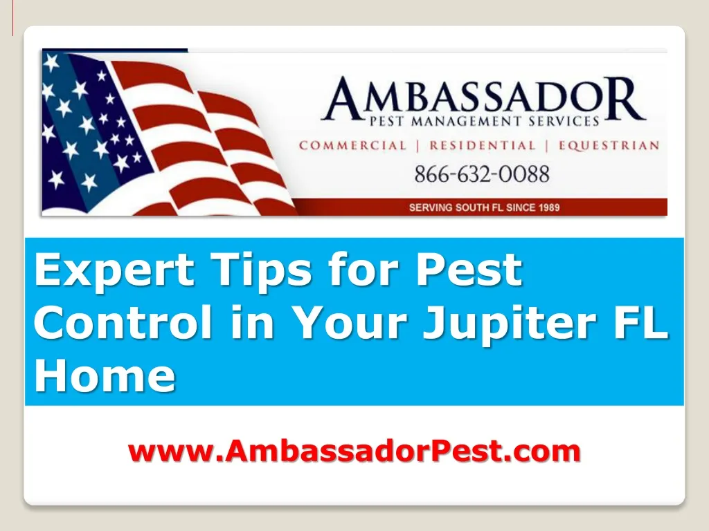 expert tips for pest control in your jupiter