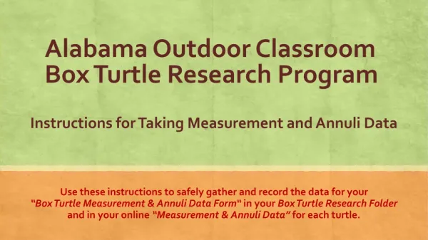Alabama Outdoor Classroom Box Turtle Research Program