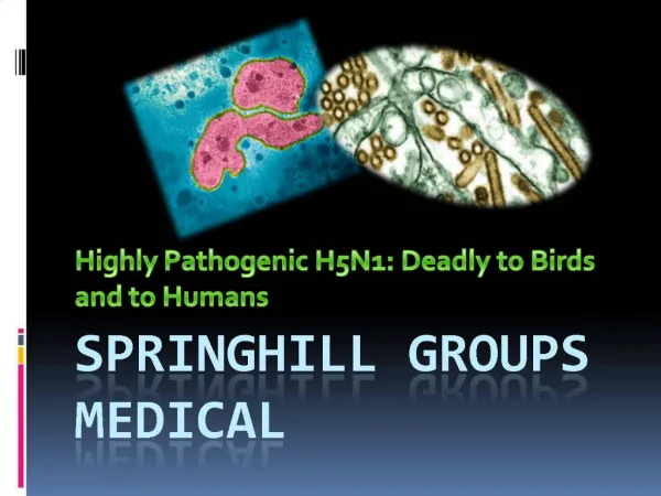 Springhill Groups on Highly Pathogenic H5N1: Deadly to Birds