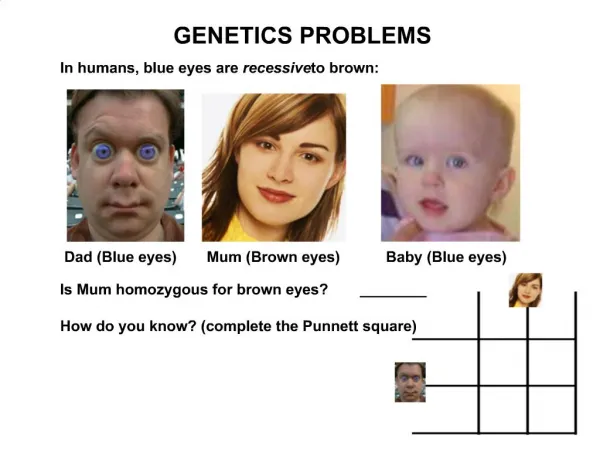 GENETICS PROBLEMS