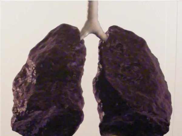 Tar In Your Lungs