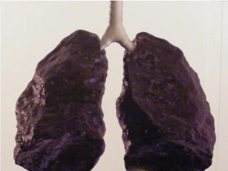 Tar In Your Lungs - slide 1