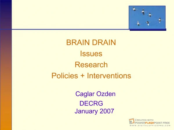 BRAIN DRAIN Issues Research Policies Interventions