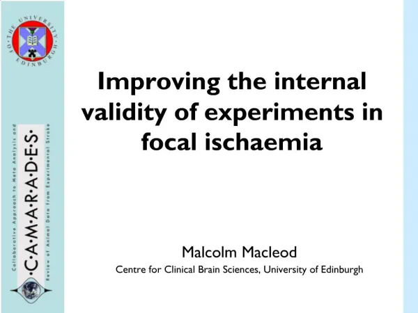 Improving the internal validity of experiments in focal ischaemia