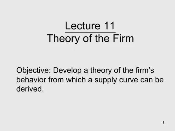 Lecture 11 Theory of the Firm