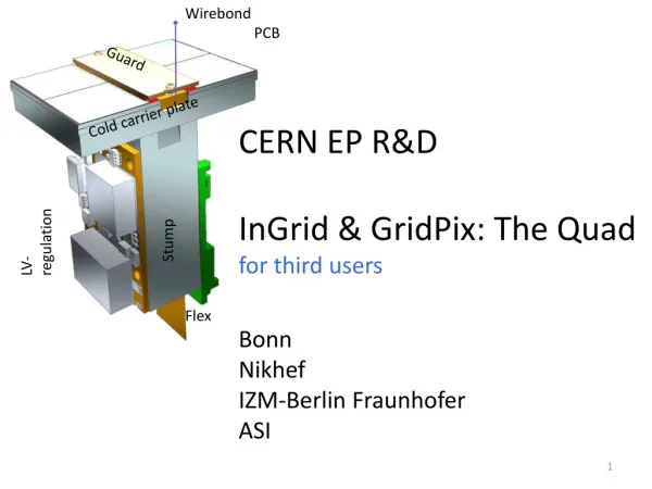 CERN EP R&amp;D InGrid &amp; GridPix: The Quad for third users Bonn Nikhef IZM-Berlin Fraunhofer ASI