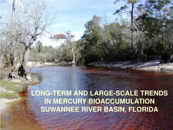 LONG-TERM AND LARGE-SCALE TRENDS IN MERCURY BIOACCUMULATION SUWANNEE RIVER BASIN, FLORIDA