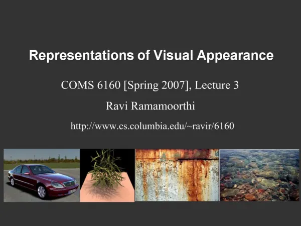 Representations of Visual Appearance