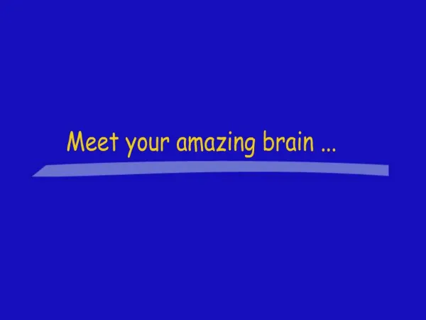 Meet your amazing brain ...