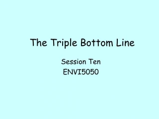 The Triple Bottom Line - slide 1