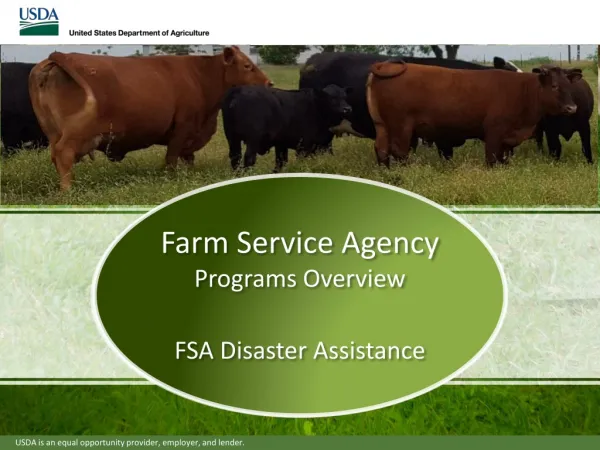 Farm Service Agency Programs Overview FSA Disaster Assistance