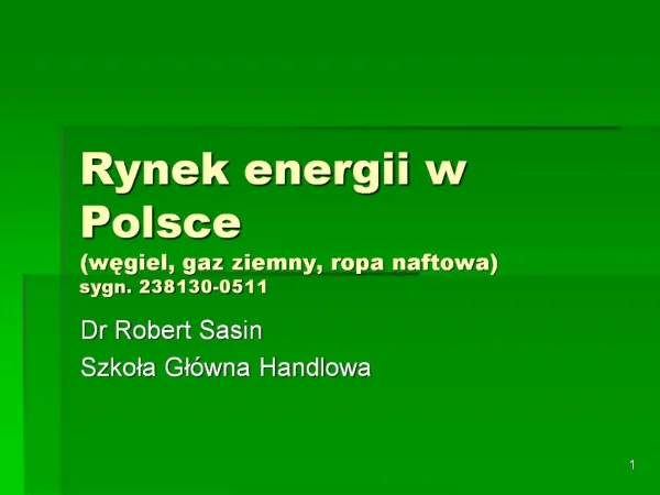 Rynek energii w Polsce wegiel, gaz ziemny, ropa naftowa sygn. 238130-0511