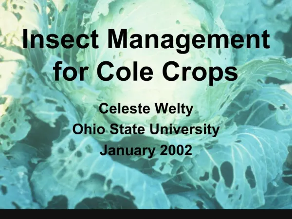 Insect Management for Cole Crops