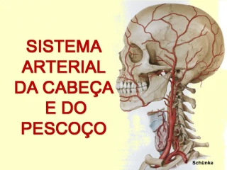 Sch nke - slide 1