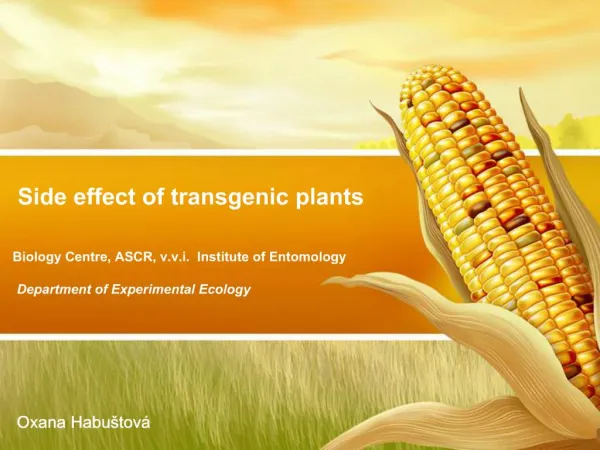 Side effect of transgenic plants