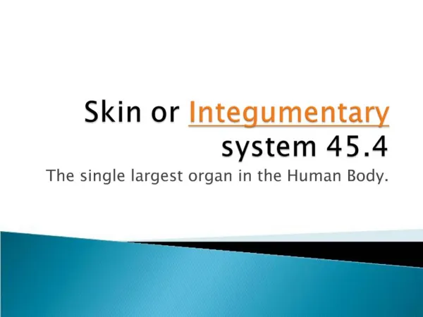 Skin or Integumentary system 45.4