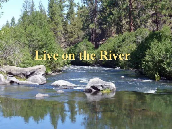 Live on the River
