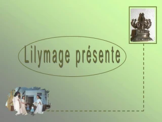 Lilymage pr sente - slide 1