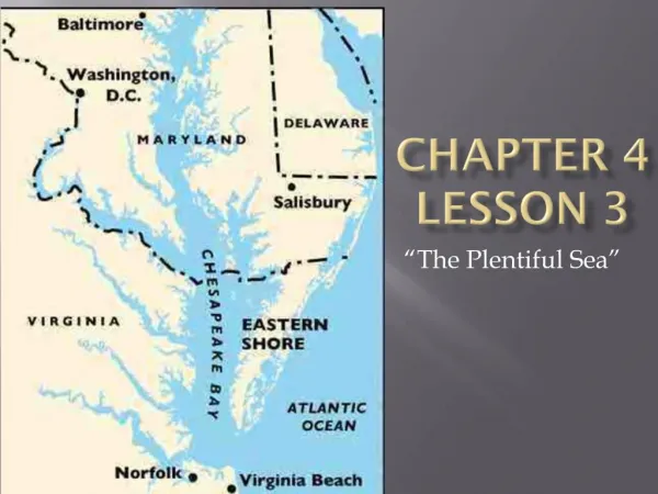 Chapter 4 Lesson 3