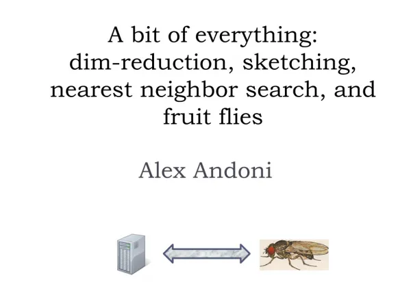A bit of everything: dim-reduction, sketching, nearest neighbor search, and fruit flies