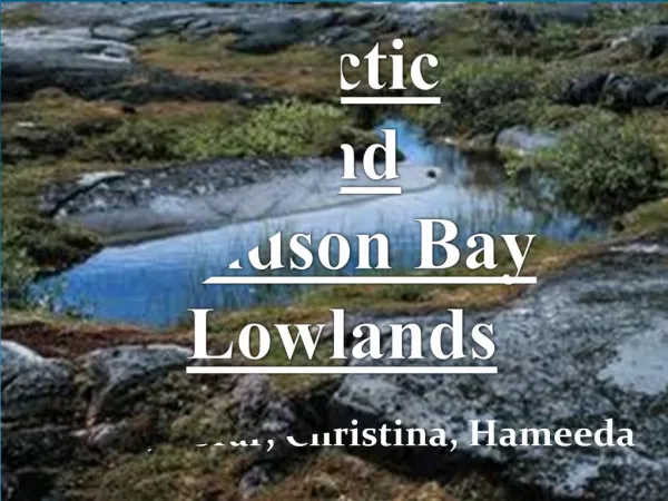 Arctic and Hudson Bay Lowlands