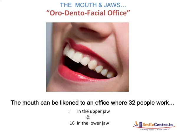 Mouth & Jaws as an Office