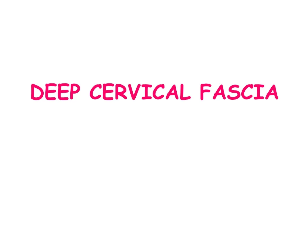 deep cervical fascia