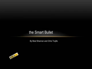 The Smart Bullet - slide 1