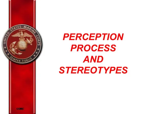 PERCEPTION PROCESS AND STEREOTYPES