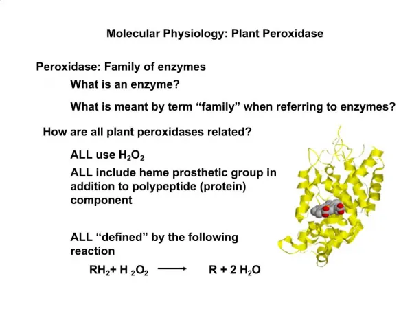 Molecular Physiology: Plant Peroxidase