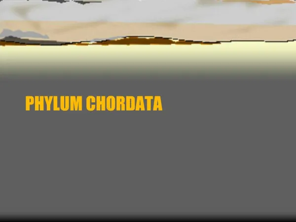 PHYLUM CHORDATA