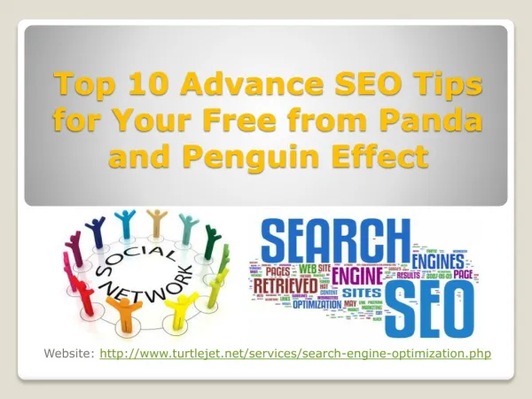 Top 10 Advance SEO Tips for Your Free from Panda and Penguin